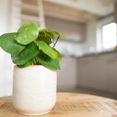 Bis 4 Personen Ohne Hund Feriehus Norden