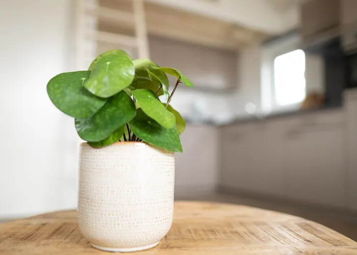 Bis 4 Personen Ohne Hund Feriehus Norden